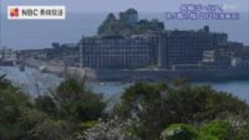 ドラマ「海に眠るダイヤモンド」に登場した「桜」ことしは？「中ノ島の桜 2026」長崎ばーどアイ