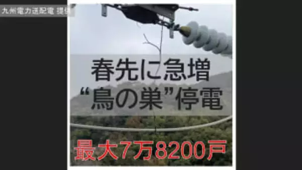 春先に急増する「鳥の巣」停電　最大7万8200戸に影響「変電所の機器不具合」が重なる【長崎】