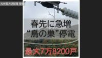 春先に急増する「鳥の巣」停電　最大7万8200戸に影響「変電所の機器不具合」が重なる【長崎】
