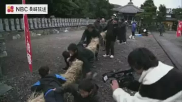 大宝の綱引き　ことしは悪天候のため境内で開催　十数年ぶり男性陣勝利　長崎県五島市