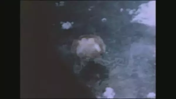 核兵器の被害は子にも？ 被爆81年、被爆二世のゲノム解析「トリオ調査」本格始動　DNA変異の"数"に違いは