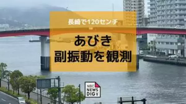【注意】長崎沿岸で「あびき」発生中　最大120センチの潮位変動 船舶被害に注意