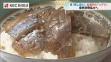 「プリプリの歯ごたえ！」 “推し魚”第2号に松浦のマアジ選出 アジフライの聖地からさらなるPRを