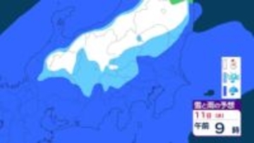 【東京の天気】建国記念の日は冷たい雨　最高気温8度　伊豆諸島は激しい突風に注意