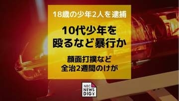 18歳の少年2人を逮捕　10代少年を殴るなど暴行 顔面打撲など全治2週間のけが