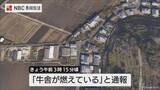 「「牛舎が燃えている」未明の牛舎から出火　牛を外へ誘導していた男性が足に軽傷【長崎・諫早市】」の画像1