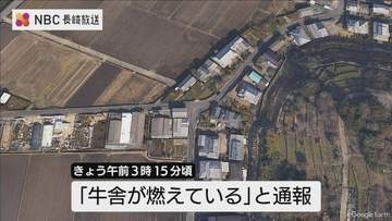 「牛舎が燃えている」未明の牛舎から出火　牛を外へ誘導していた男性が足に軽傷【長崎・諫早市】