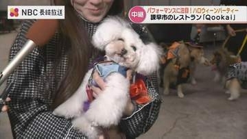 ワンちゃんたちによる『カドリール』でハロウィーンパーティー！限定メニューに舌鼓、人間も食べられる「ワンコケーキ」も【中継ふりかえり】
