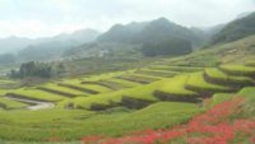 窯業集落と棚田「波佐見中尾皿山と鬼木棚田」国の重要文化的景観へ答申