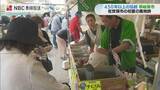 「450年の歴史「早岐茶市」が開幕「ウキウキして初日に来た」新茶の詰め放題が人気【長崎県佐世保】」の画像1