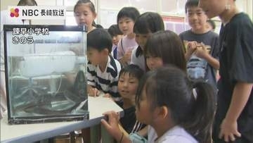 郷土料理「うなぎの楽焼」が名物の諫早市　地元の小学生がうなぎの生態など学ぶ【長崎】