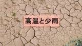「【深刻な少雨】近畿、中四国、九州北部で降水量1割〜3割…農作物や水不足の懸念【気象庁発表】」の画像1