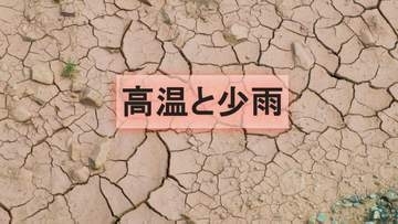 【深刻な少雨】近畿、中四国、九州北部で降水量1割〜3割…農作物や水不足の懸念【気象庁発表】