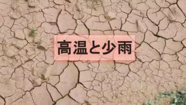 【深刻な少雨】近畿、中四国、九州北部で降水量1割〜3割…農作物や水不足の懸念【気象庁発表】