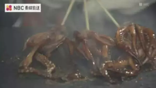 県産品フードマルシェ　壱岐産イカ焼き「5本食べました」 長崎市で23日まで