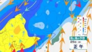 【関東】あす東京22℃で5月並みの暑へさ　一転して水曜は『南岸低気圧』で本降り　激しい寒暖差に注意を　雨風シミュレーション