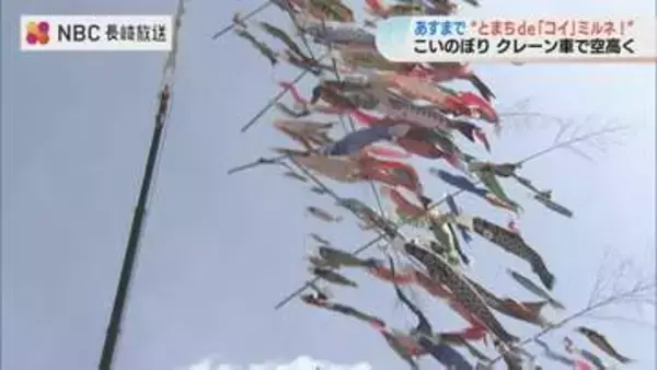 クレーン車で吊り上げるこいのぼりイベント！247匹が地上50メートルの青空へ 子どもたちの歓声にあふれる「とまちdeこいミルネ」