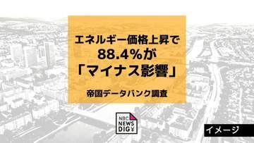 離島地域を有する長崎県「輸送コストの影響を受けやすい」エネルギー価格上昇、長崎県内企業の88.4％が「マイナス影響」【帝国データバンク調査】