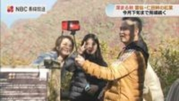 雲仙・仁田峠の紅葉見ごろに　朝晩の冷え込みで一気に色づき進む【長崎】