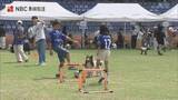 「犬も参加者も大興奮！長崎市ピーススタジアムで初開催のドッグラン」の画像1