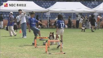 犬も参加者も大興奮！長崎市ピーススタジアムで初開催のドッグラン