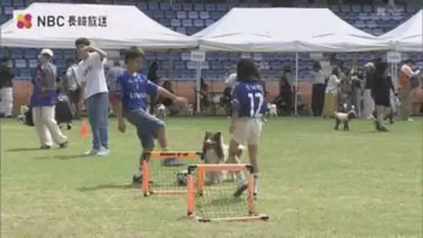 犬も参加者も大興奮！長崎市ピーススタジアムで初開催のドッグラン