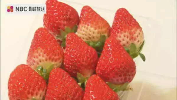 1月15日の「いちごの日」に長崎県産いちごの即売会　昨夏の猛暑で収穫量は減少も例年通りさわやかな甘みの出来に