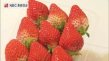 1月15日の「いちごの日」に長崎県産いちごの即売会　昨夏の猛暑で収穫量は減少も例年通りさわやかな甘みの出来に
