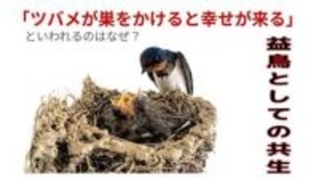 ツバメが巣をかけると幸せが来るといわれるのはなぜ？