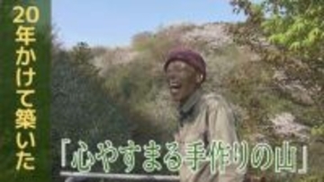 一人の男性が20年かけて築いた「心やすまる手作りの山」【長崎のサクラ】波佐見町・大堤自然公園