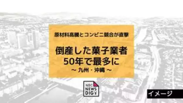倒産した菓子業者が50年で最多に　九州・沖縄で「千鳥屋本家」など17件　原材料高騰とコンビニ競合が直撃
