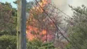 五島の森林火災　廃棄物処理法違反などの疑いで会社員の男性を書類送検