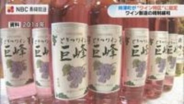 長崎県時津町“ワイン特区”に認定　地域特産のブドウをいかした産業振興へ