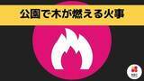 「公園の木が燃える火事【長崎県 諫早市 宇都町】」の画像1