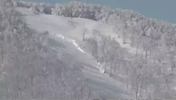 スキー場で「全層雪崩」が発生　規模は最大幅185メートル長さ600メートル　10～40代の男女4人が大けが　非圧雪の上級者コース　気温上昇と雨が原因か　亀裂などの前兆は確認されず