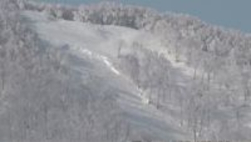 スキー場で「全層雪崩」が発生　規模は最大幅185メートル長さ600メートル　10～40代の男女4人が大けが　非圧雪の上級者コース　気温上昇と雨が原因か　亀裂などの前兆は確認されず