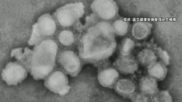 インフル猛威…ほぼ変異株「サブクレードＫ」　患者さらに増加　しばらく流行続く見込み　長野県