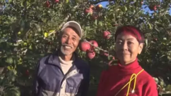 「かめふじこ」に「ふじひびき」　被害リンゴにユニークな名付けで注文増　“大阪のおばちゃん”のアイデア　長野のリンゴ農園