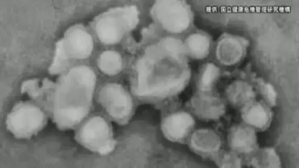 インフルエンザ　4週連続「警報レベル」　保育施設・小学校・中学校・高校で休園休校2、学年閉鎖20、学級閉鎖95　感染性胃腸炎の患者は2週連続で増加　長野県