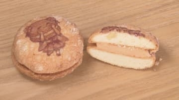 老舗和菓子店が人気商品「ちいずぷっちい」の総選挙　菓子をキャラクター化して公約を設定　長野・伊那市