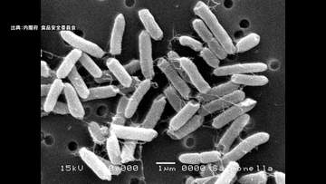 旅館のバイキングでサルモネラ属菌による食中毒　10歳未満も含む81人が下痢や腹痛などの症状　3人が入院　患者のほとんどが家族旅行で東京、埼玉、愛知などから訪れる