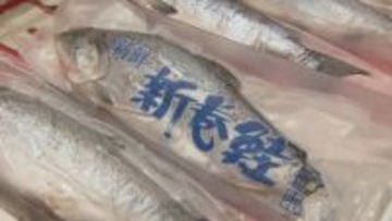 “年取り魚”の価格は…「サケ」は過去最高の高値　「ブリ」も例年に比べかなり高く　カズノコやカニなども高値傾向