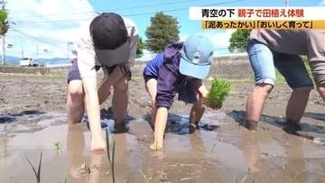 「泥あったかい」青空の下で田植え体験　親子で食と農業を学ぶ　11月まで稲刈りや精米も