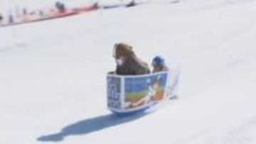 霧ヶ峰スキー場で「ソリ人間コンテスト」　オリジナルのソリの独創性や滑走中のパフォーマンスなど競う　長野・諏訪市