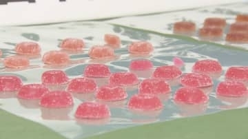 成田空港で90粒の「大麻グミ」発見　アメリカ国籍の33歳男を輸入の疑いで逮捕　自己使用の目的と容疑認める