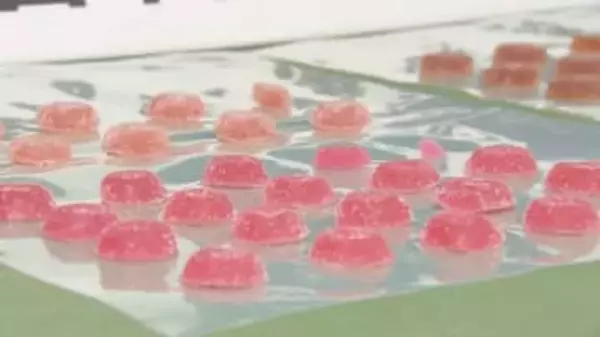 成田空港で90粒の「大麻グミ」発見　アメリカ国籍の33歳男を輸入の疑いで逮捕　自己使用の目的と容疑認める