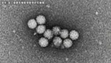 飲食店でノロウイルスによる食中毒が発生　3グループ16人に下痢や発熱・嘔吐の症状　全員快方に向かう　患者と調理従事者の便からウイルスを検出