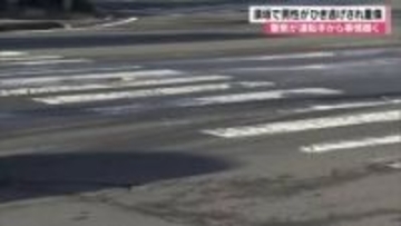 トラックでひき逃げか　横断歩道を渡っていた48歳男性が重傷　防犯カメラなどから車両を特定し運転手から事情聴く
