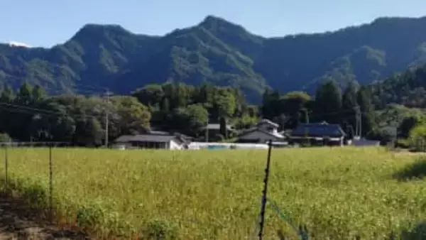 下山中にバランスを崩して約20メートル滑落　東京都の57歳男性を救助　右足と背中を負傷している模様　長野県生坂村の京ヶ倉で遭難