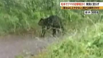 「クマが河川敷を歩いていた」目撃相次ぐ　発見に至らず　松本市と塩尻市は2基の箱わなを設置　「夏や山にエサ少ない」県が注意呼びかけ